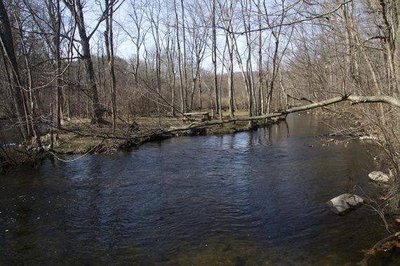 RED goes along the Musconetcong River