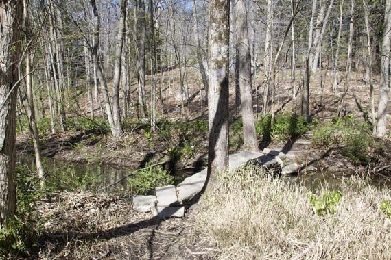 Crossing stream on large rock slab