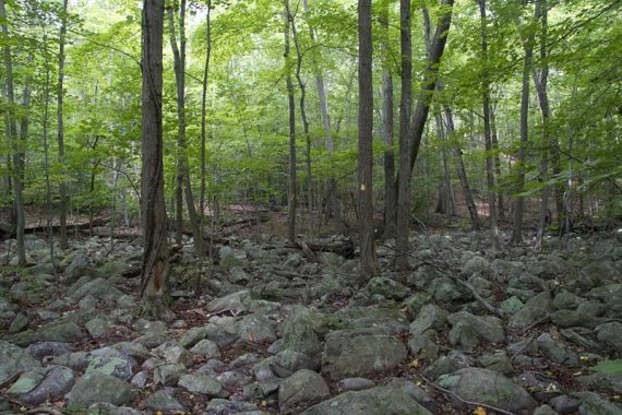 Rocky Wyanokie Crest trail