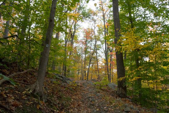 Halifax Trail