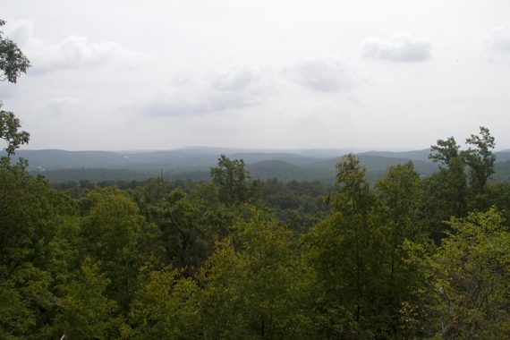 View along Carris Hill