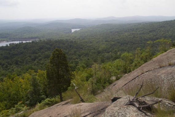 View along Carris Hill