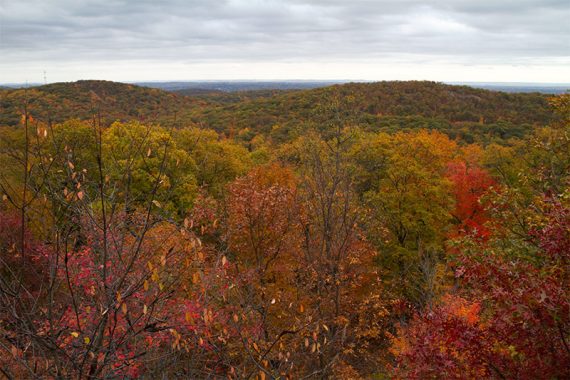 View from Ilgenstein Rock during fall