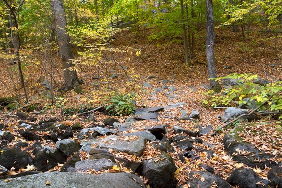 Stream crossing on Ringwood-Ramapo