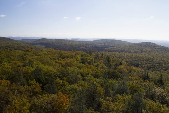View from the fire tower of trees in the foregrounds and low mountains in the far distance.