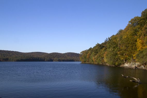 View of Sterling Lake from South Point (ORANGE) trail.