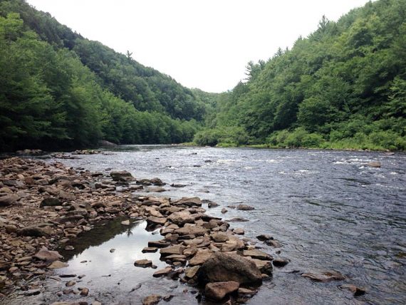 Rocks on the shore of the Lehigh River.