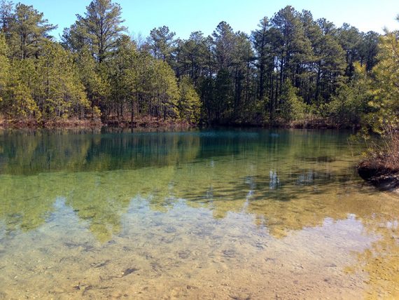 Water along the YELLOW trail at the start.