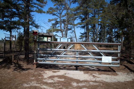 Gate at the Speedwell entrance.