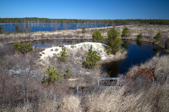 View from the wildlife observation platform