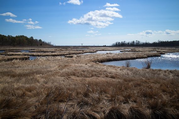 An osprey platform in the distance beyond a marsh.