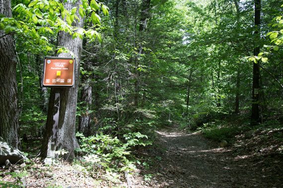 Laurel Pond Trail