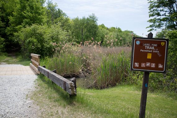 Laurel Pond trail sign and bridge