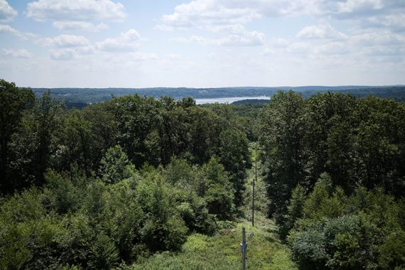 View from the tower