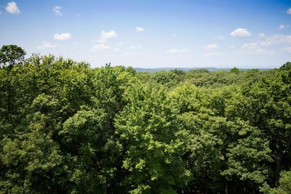 View from the tower of the Delaware Water Gap