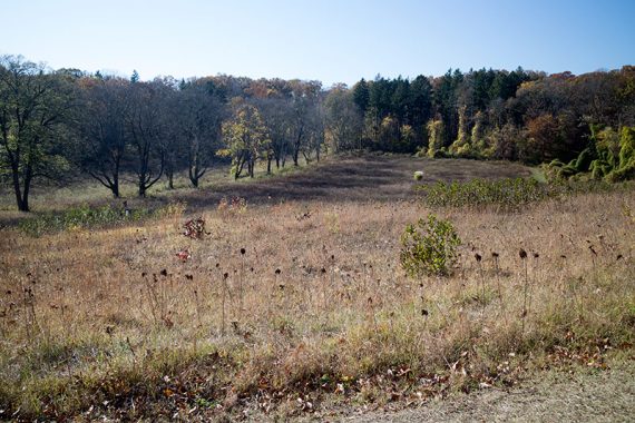 Fields along County Gait