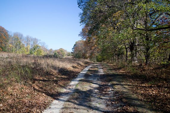 Farm path