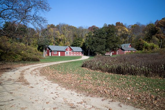 Farm buildings