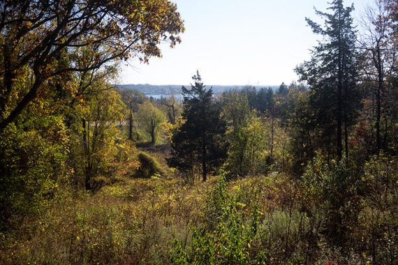 View of the Navesink River