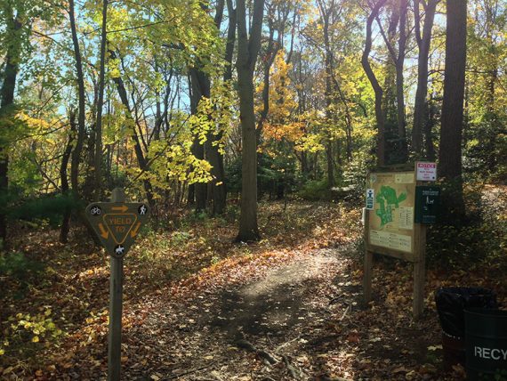 Claypit trailhead near the Locust Point parking lot