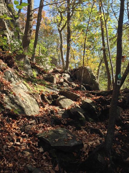 Large rocks on an uphill trail.