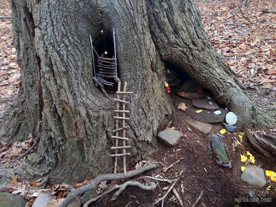 Tree trunk with tiny wooden ladders leading into a hollow