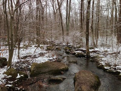 Sourlands Mountain Preserve