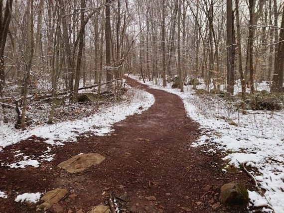 Service Road Trail