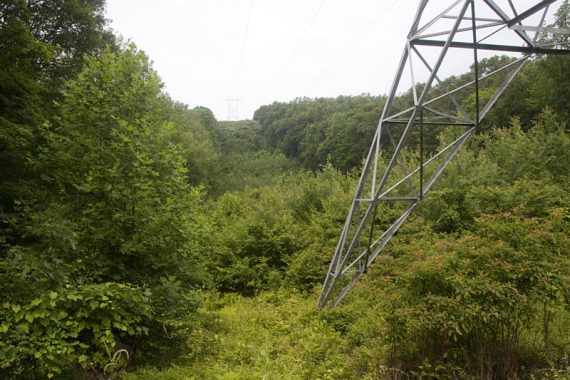 Crossing the powerline cut