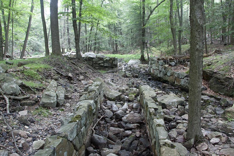 Lemon Squeezer Harriman State Park, NY
