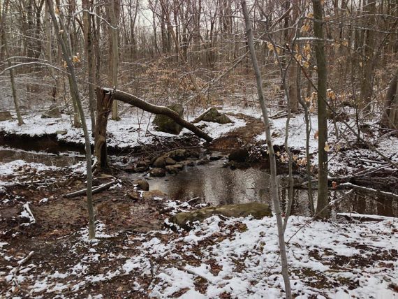 Stream crossing