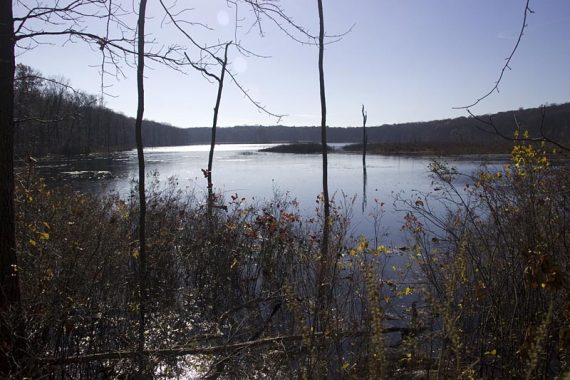 Timber Brook Lake