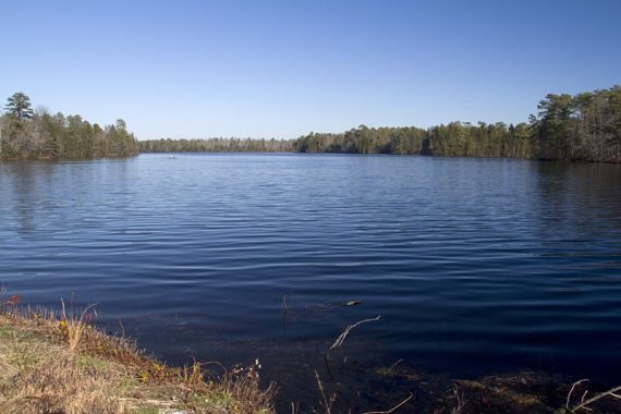 East Creek Pond while walking on the shoulder of rt 347