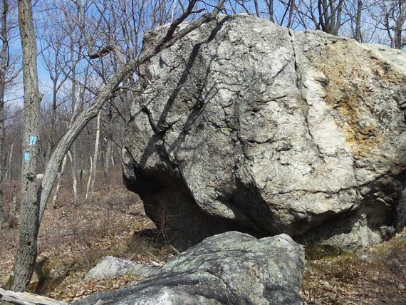 Glacial Erratic