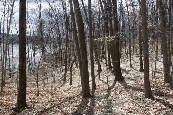 BLUE trail around Butler Reservoir