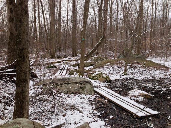 Sourlands Ecosystem Preserve - GREEN Trail