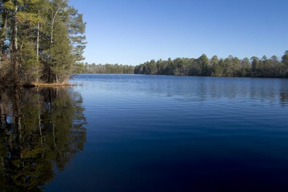 View of East Creek Pond from the only spot that the trail gets close to the water