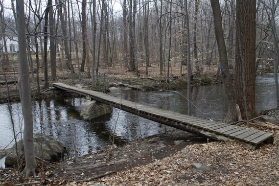 Bridge on the BLUE trail