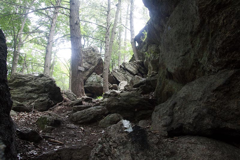 Lemon Squeezer Harriman State Park, NY