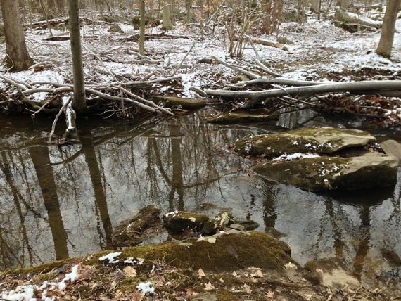 Stream crossing on GREEN