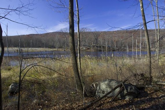 Timber Brook Lake