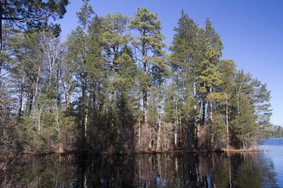 East Creek Pond