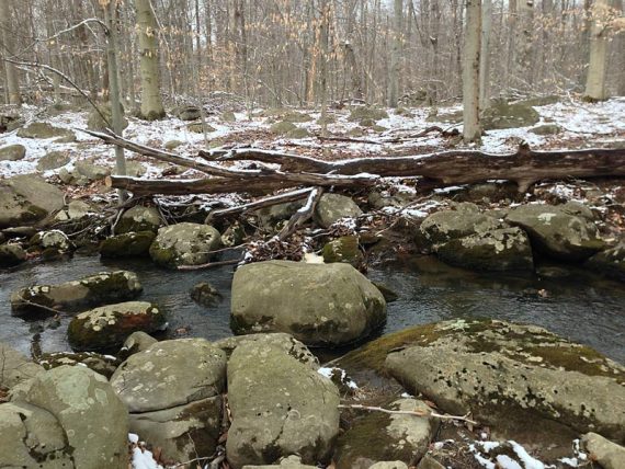 Stream crossing on GREEN