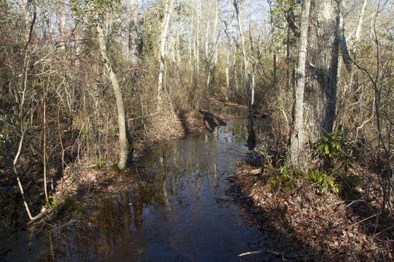 The trail and not a stream... bypass this by going a few feet to the right on a dirt road.