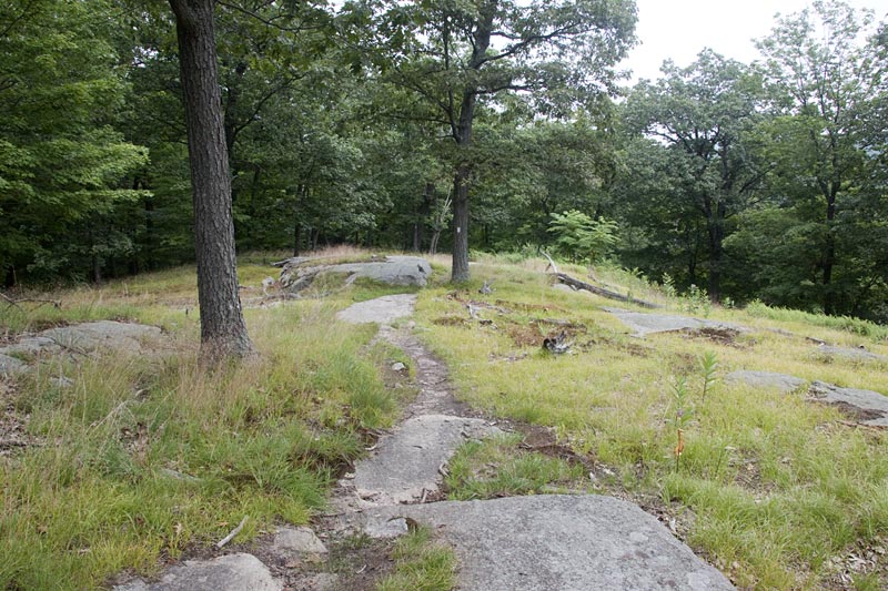 Lemon Squeezer Harriman State Park, NY