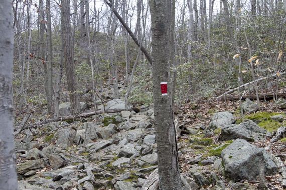 RED w/ WHITE STRIPE heads up a steep rocky section