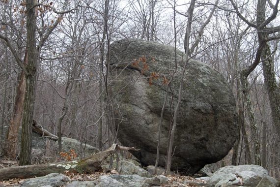 Whale Head Rock