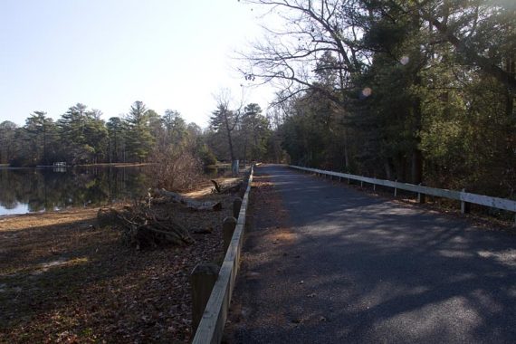 The trail ends, turn right and then follow the road back to the lot