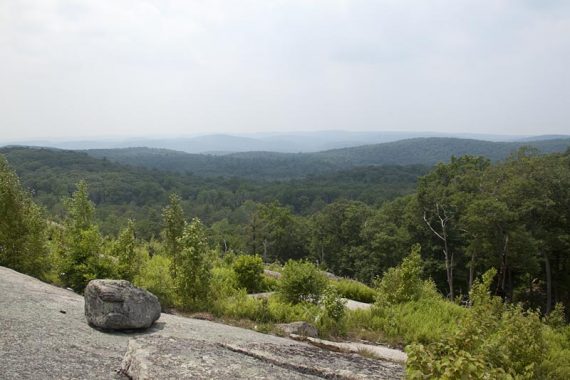 View from the Lichen Trail