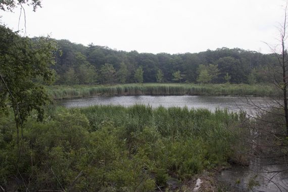 Green Pond